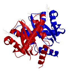 Image of CATH 4cf1