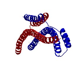 Image of CATH 4cfg