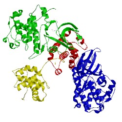 Image of CATH 4cfx