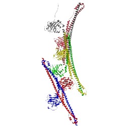 Image of CATH 4cg4