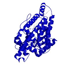 Image of CATH 4cg8
