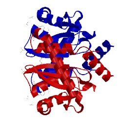 Image of CATH 4cgf