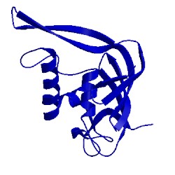 Image of CATH 4che
