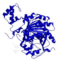 Image of CATH 4ci9