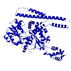 Image of CATH 4ciu