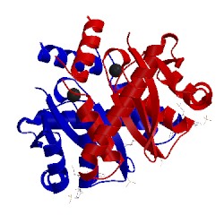 Image of CATH 4cjk