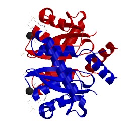 Image of CATH 4ck1
