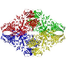 Image of CATH 4ckd