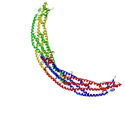 Image of CATH 4ckh