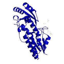 Image of CATH 4cl2