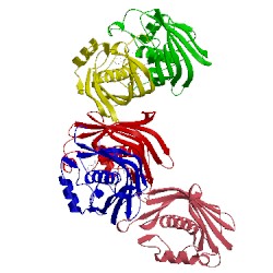 Image of CATH 4cl6