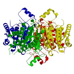 Image of CATH 4cle