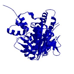 Image of CATH 4clf