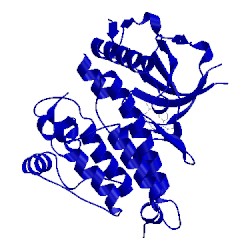 Image of CATH 4clj