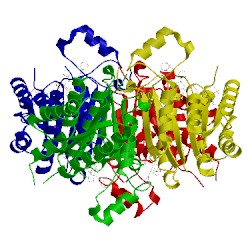 Image of CATH 4clo