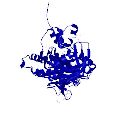 Image of CATH 4clp