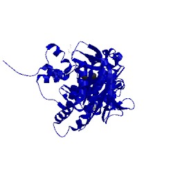 Image of CATH 4clu