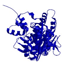 Image of CATH 4clw