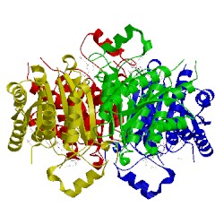 Image of CATH 4cm1