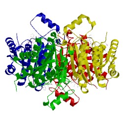 Image of CATH 4cm5