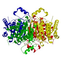 Image of CATH 4cm6