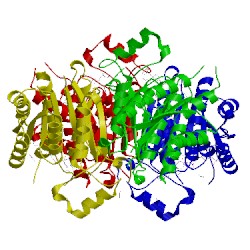 Image of CATH 4cm7
