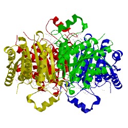 Image of CATH 4cm8