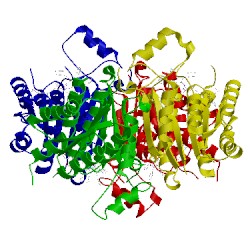 Image of CATH 4cmc