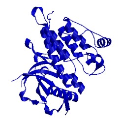 Image of CATH 4cmu
