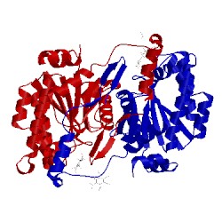 Image of CATH 4cmx