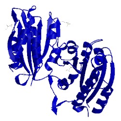 Image of CATH 4cn8
