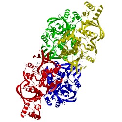 Image of CATH 4cnj