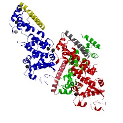 Image of CATH 4co6