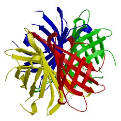 Image of CATH 4cph