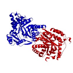 Image of CATH 4cq8