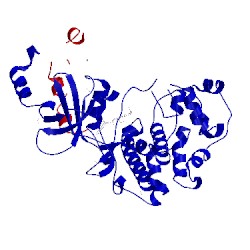 Image of CATH 4crl