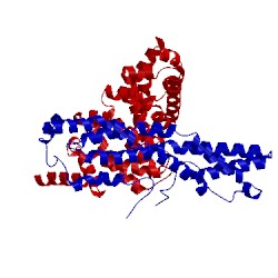 Image of CATH 4crv