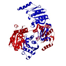 Image of CATH 4ct8