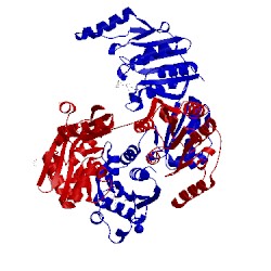 Image of CATH 4ct9