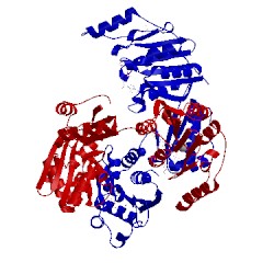 Image of CATH 4cta