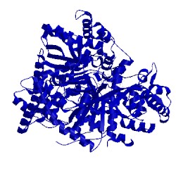 Image of CATH 4ctn