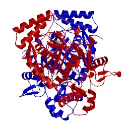 Image of CATH 4ctp