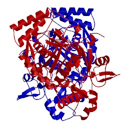 Image of CATH 4ctr