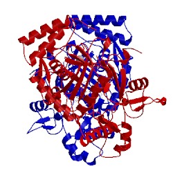 Image of CATH 4ctt