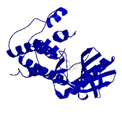 Image of CATH 4cva