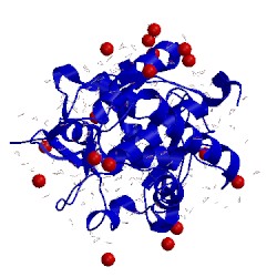 Image of CATH 4cvi