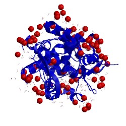 Image of CATH 4cvj