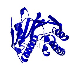 Image of CATH 4cws