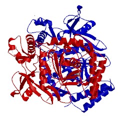 Image of CATH 4cww