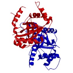 Image of CATH 4cx8